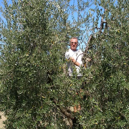 Country house Podere Bellavista