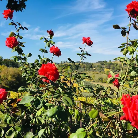 Country house Podere Bellavista San Gimignano