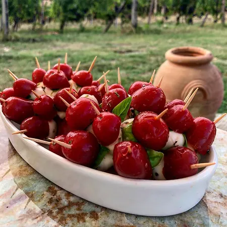 Podere Bellavista Country house San Gimignano