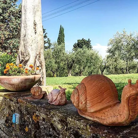 Podere Bellavista Country house San Gimignano