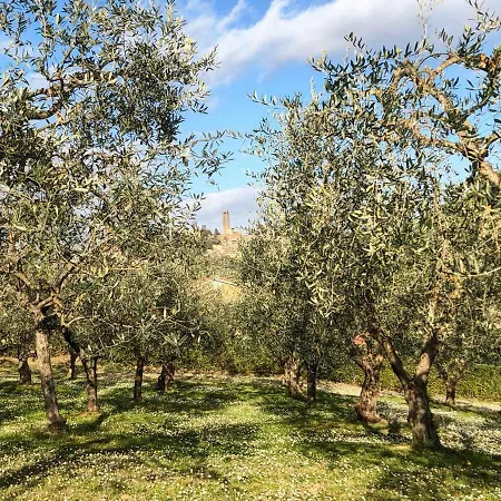 Podere Bellavista Country house *