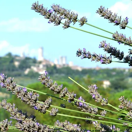 Venkovský dům Podere Bellavista San Gimignano